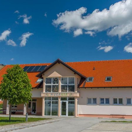 Apartma Murania Lendava Ngoại thất bức ảnh